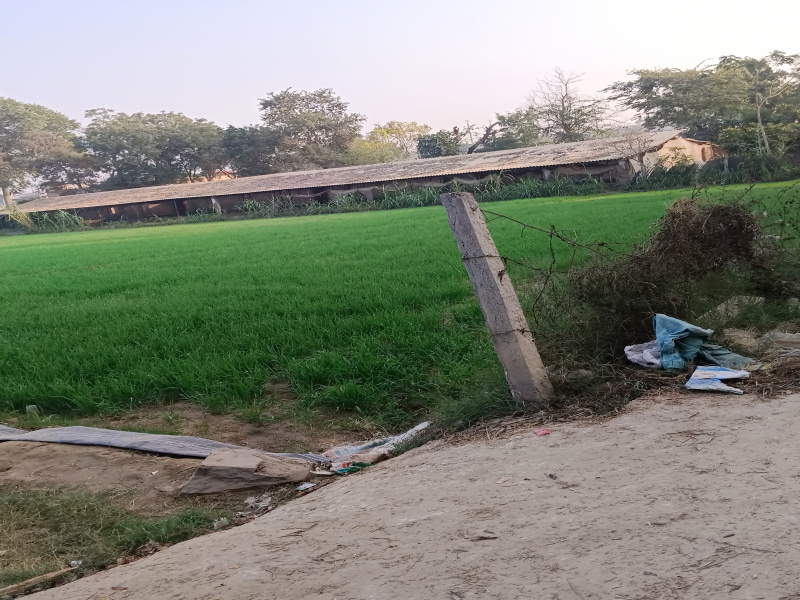  1500 Sq. Yards Agricultural/Farm Land for Sale in Sohna, Gurgaon