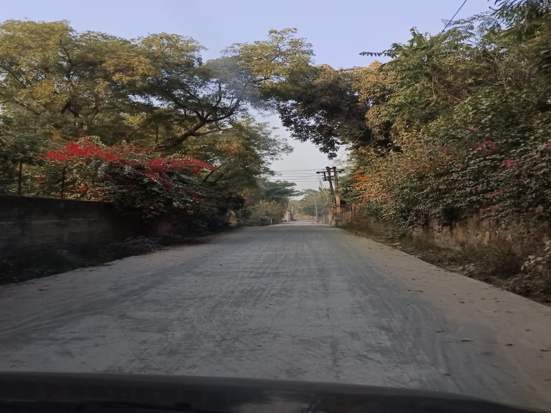  20 Bigha Agricultural/Farm Land for Sale in Naugaon, Alwar