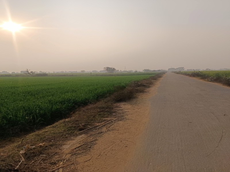  3 Acre Agricultural/Farm Land for Sale in Sohna, Gurgaon