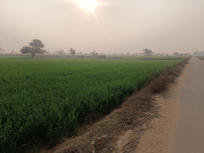  3 Acre Agricultural/Farm Land for Sale in Sohna, Gurgaon