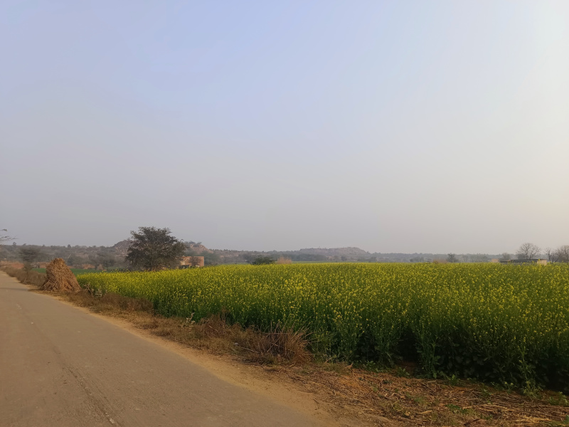  3 Acre Agricultural/Farm Land for Sale in Sohna, Gurgaon