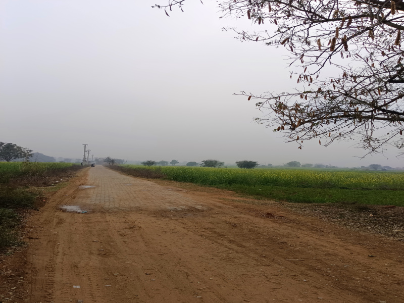  4 Acre Agricultural/Farm Land for Sale in Sohna, Gurgaon