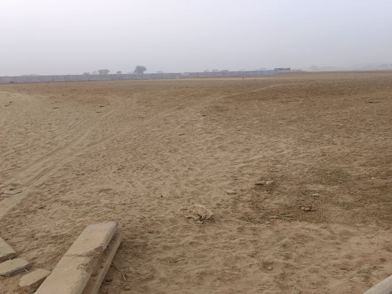  6 Acre Agricultural/Farm Land for Sale in Sohna, Gurgaon