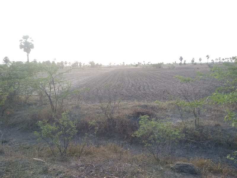 Agricultural Land 3 Acre for Rent in Chandur, Nalgonda