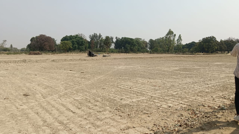  Residential Plot 1000 Sq.ft. for Sale in Mohanlalganj, Lucknow