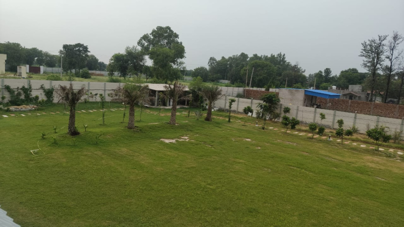 5 BHK Farm House 6000 Sq. Yards for Sale in Palwal