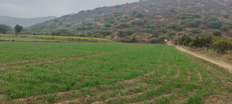  Agricultural Land 2 Bigha for Sale in Naugaon, Alwar