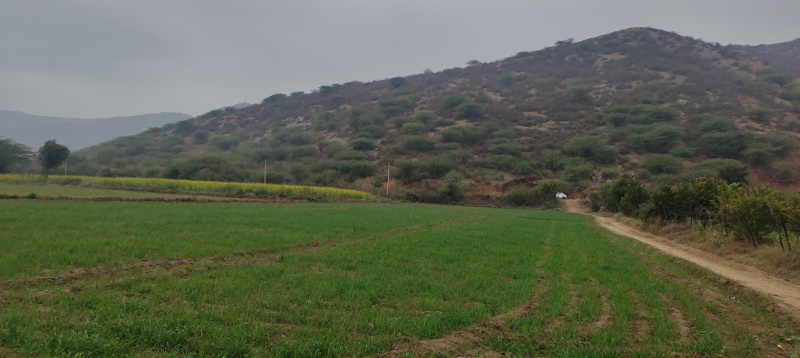  Agricultural Land 2 Bigha for Sale in Naugaon, Alwar