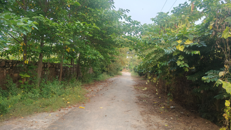  Agricultural Land 1210 Sq. Yards for Sale in Prithla, Palwal