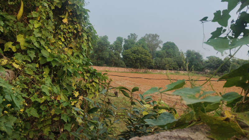  Agricultural Land 1210 Sq. Yards for Sale in Prithla, Palwal