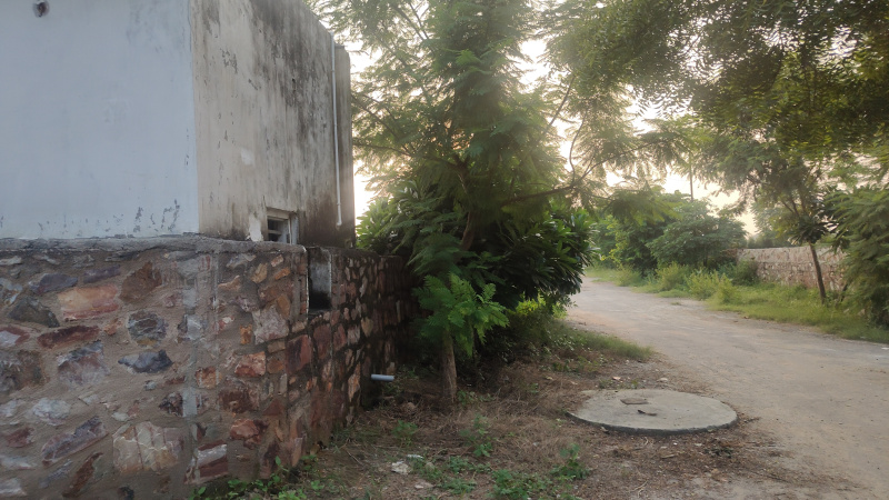  Agricultural Land 1210 Sq. Yards for Sale in Prithla, Palwal