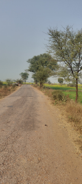  Agricultural Land 1 Bigha for Sale in Naugaon, Alwar