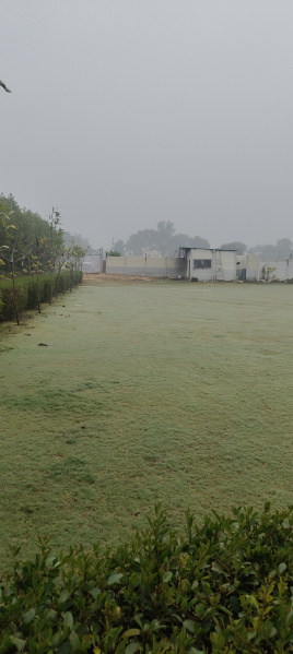  Agricultural Land 43560 Sq.ft. for Sale in Sohna, Gurgaon