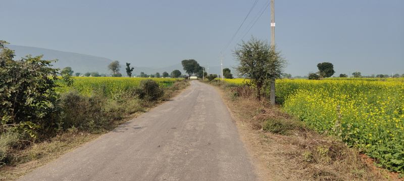  Agricultural Land 33275 Sq. Yards for Sale in Naugaon, Alwar