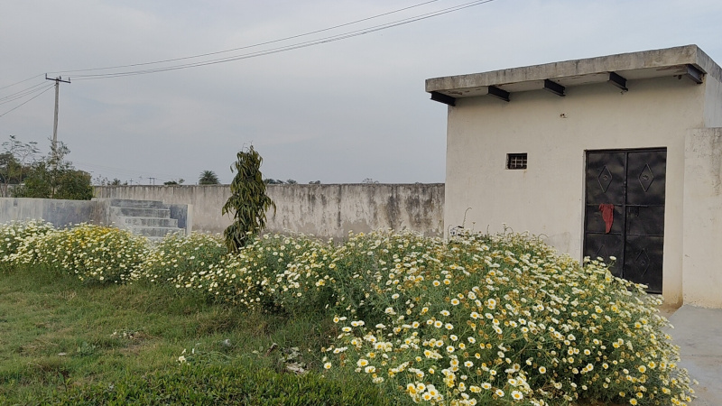 1 RK Farm House 43560 Sq.ft. for Sale in Mandkola, Palwal