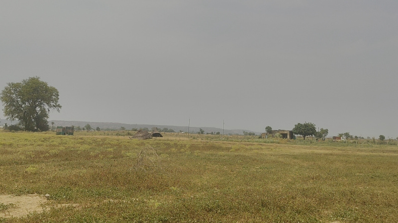  Agricultural Land 108900 Sq.ft. for Sale in Sohna, Gurgaon