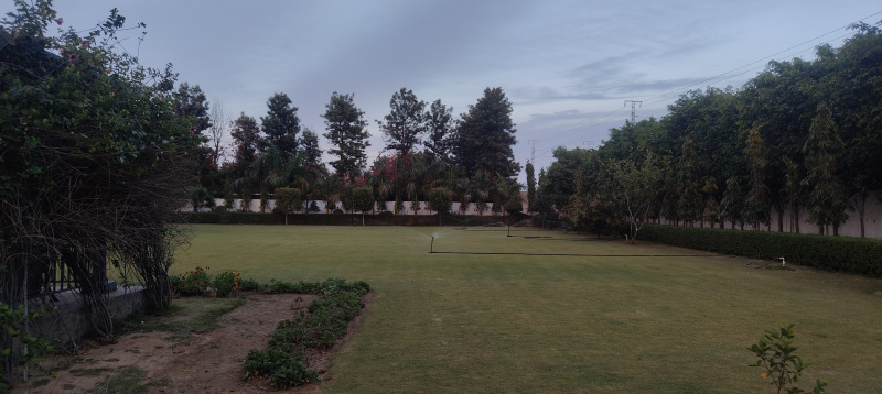 1.5 BHK Farm House 24570 Sq.ft. for Sale in Sohna, Gurgaon
