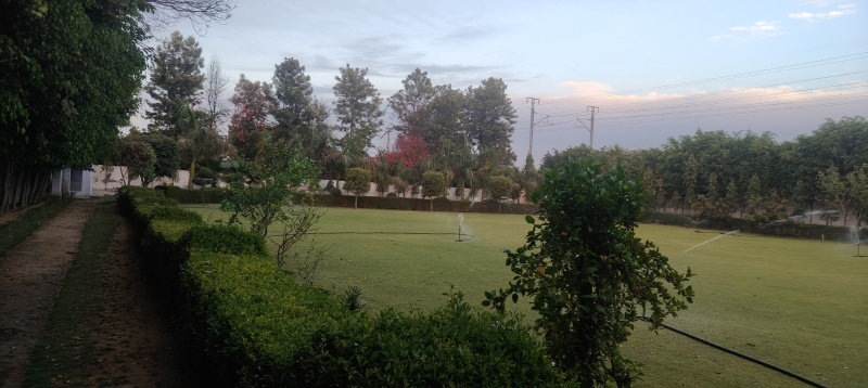 1.5 BHK Farm House 24570 Sq.ft. for Sale in Sohna, Gurgaon
