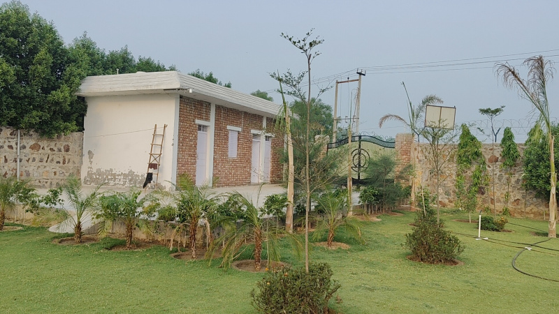  Agricultural Land 1 Acre for Sale in Sirohi, Faridabad