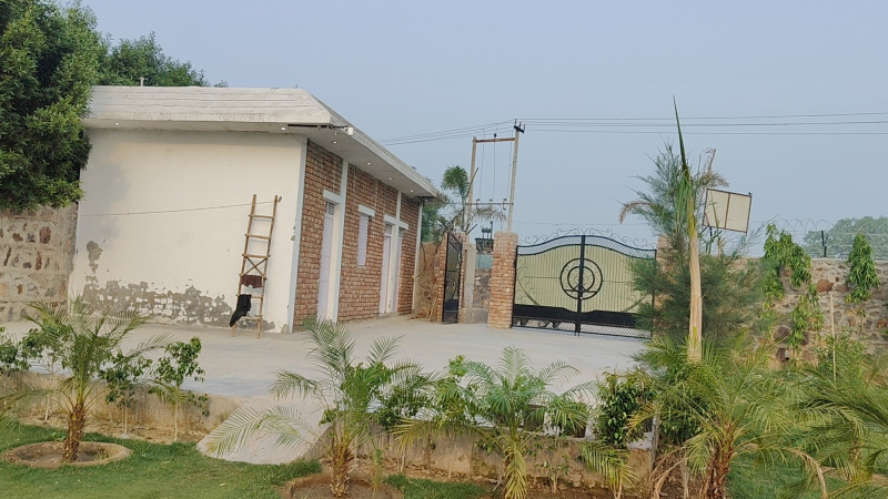  Agricultural Land 1 Acre for Sale in Sirohi, Faridabad
