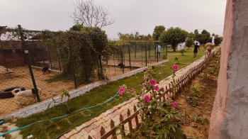  Agricultural Land for Sale in Sohna Road, Gurgaon