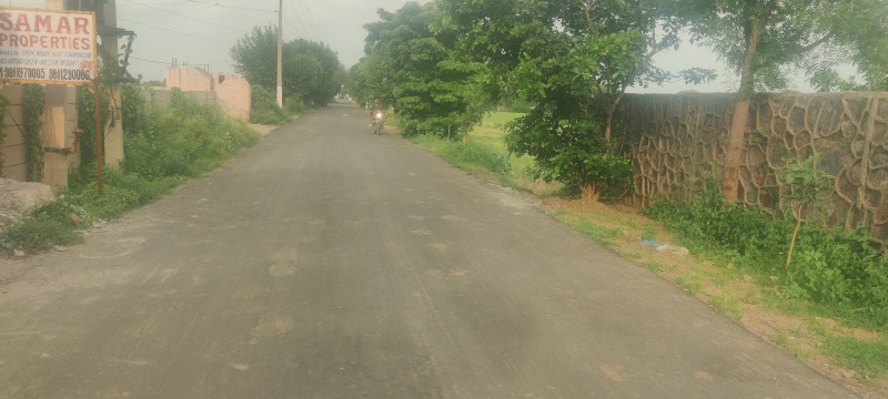  Agricultural Land 14 Sq.ft. for Sale in Sohna, Gurgaon
