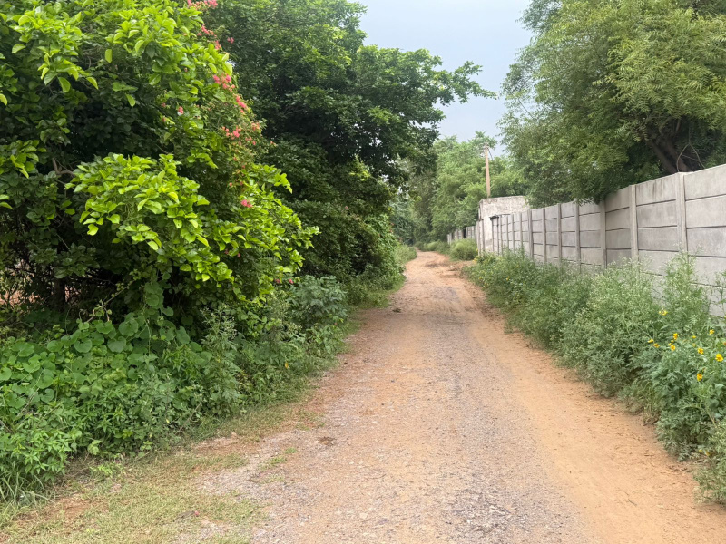  Agricultural Land 43560 Sq.ft. for Sale in Sohna Road, Gurgaon
