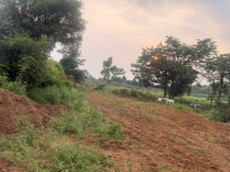  Agricultural Land 43560 Sq.ft. for Sale in Sohna Road, Gurgaon