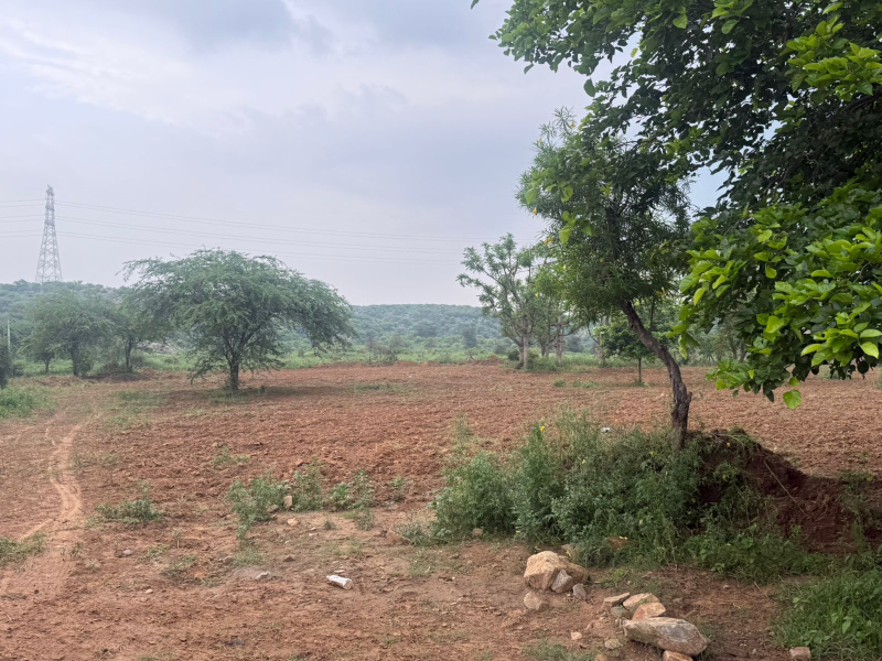  Agricultural Land 43560 Sq.ft. for Sale in Sohna Road, Gurgaon