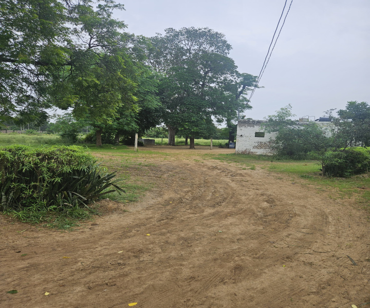  Agricultural Land 7865 Sq. Yards for Sale in Sohna Road, Faridabad