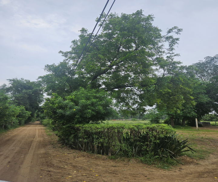 Agricultural Land 7865 Sq. Yards for Sale in Sohna Road, Faridabad