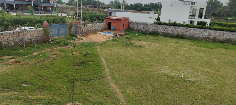1 BHK Farm House 3630 Sq. Yards for Sale in Sohna, Gurgaon