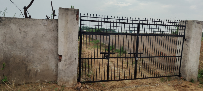  Agricultural Land 12 Acre for Sale in Mandkola, Palwal