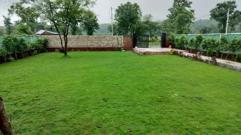 Agricultural Land 1 Acre for Sale in Pali Road, Faridabad