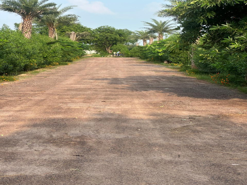 4840 Sq. Yards Agricultural/Farm Land for Sale in Sohna Road, Gurgaon