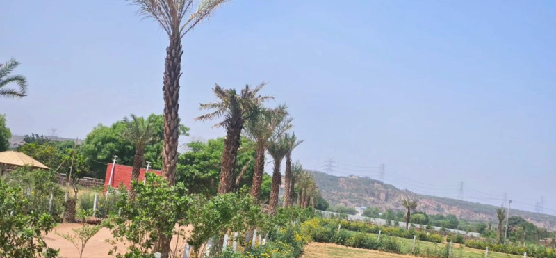  4840 Sq. Yards Agricultural/Farm Land for Sale in Sohna Road, Gurgaon