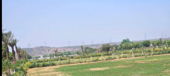  Agricultural Land for Sale in Khairthal, Alwar