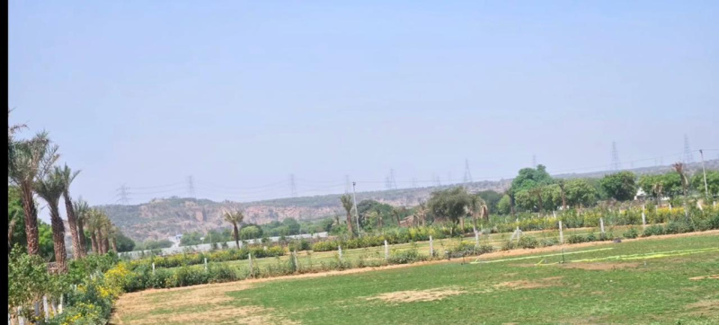  8 Bigha Agricultural/Farm Land for Sale in Khairthal, Alwar