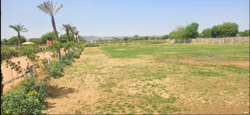  8 Bigha Agricultural/Farm Land for Sale in Khairthal, Alwar