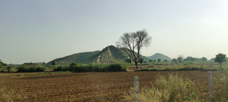  15 Bigha Agricultural/Farm Land for Sale in Kishangarh, Alwar