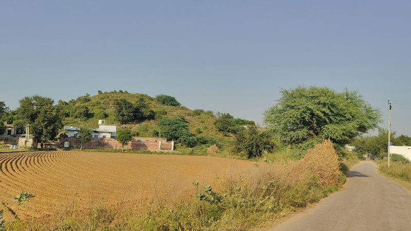  15 Bigha Agricultural/Farm Land for Sale in Kishangarh, Alwar