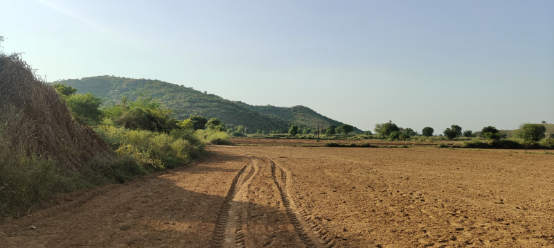  15 Bigha Agricultural/Farm Land for Sale in Kishangarh, Alwar