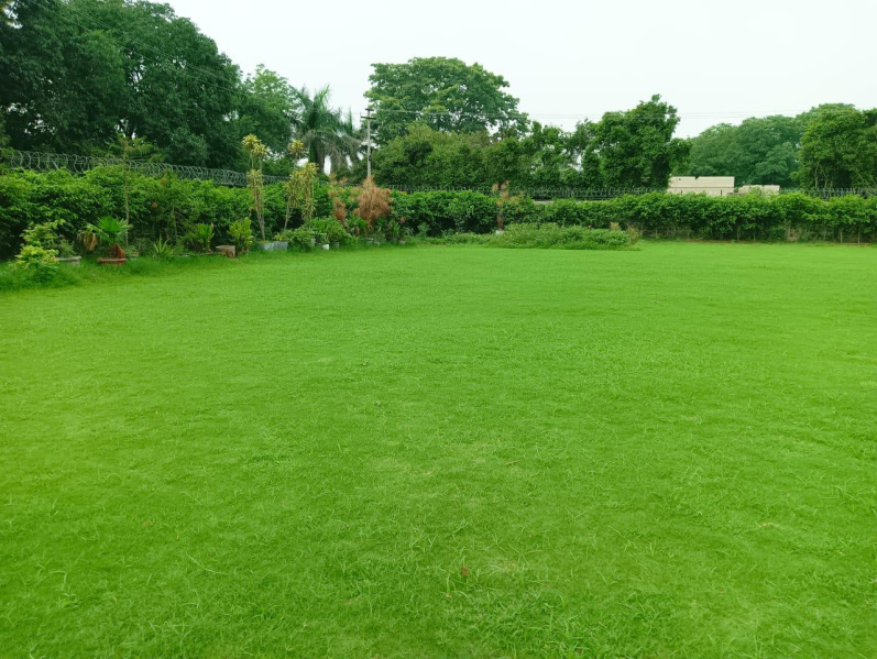  3025 Sq.ft. Agricultural/Farm Land for Sale in Sohna Road, Faridabad