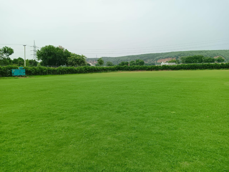  3025 Sq.ft. Agricultural/Farm Land for Sale in Sohna Road, Faridabad
