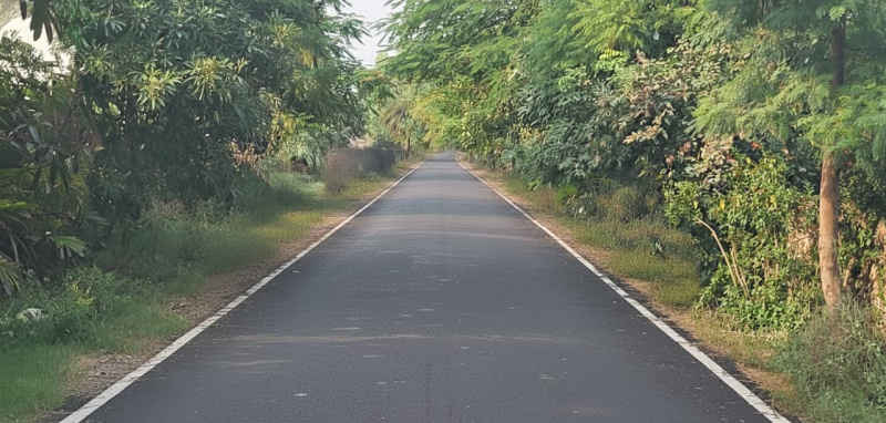  1210 Sq. Yards Agricultural/Farm Land for Sale in Sohna, Gurgaon