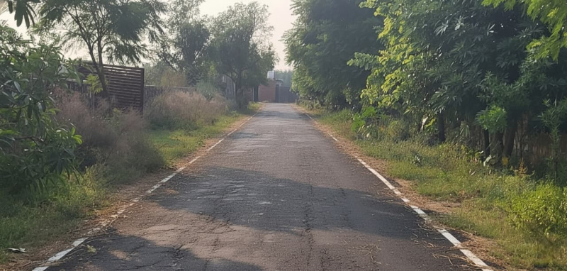  1210 Sq. Yards Agricultural/Farm Land for Sale in Sohna, Gurgaon