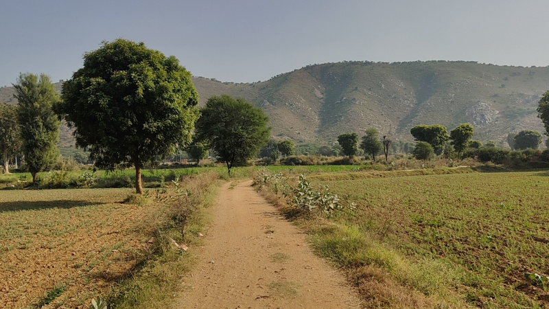  8 Bigha Agricultural/Farm Land for Sale in Tijara, Alwar