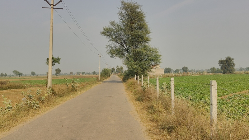  1 Acre Agricultural/Farm Land for Sale in Dhatir, Palwal