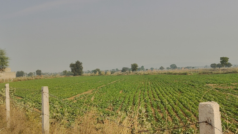  1 Acre Agricultural/Farm Land for Sale in Dhatir, Palwal