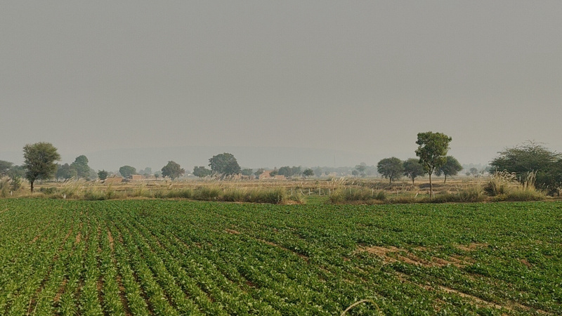  1 Acre Agricultural/Farm Land for Sale in Dhatir, Palwal